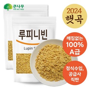 The큰나무 루피니빈 콩 루피니빈콩, 2개, 1kg