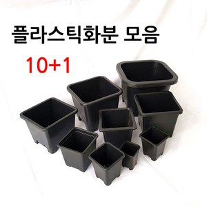 제이팟다육 플라스틱 화분 모음 다육이 사각 모종화분 플분 10+1