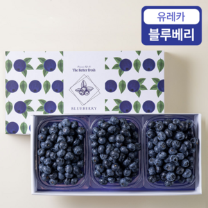 프루미츠 보라색 진주 칠레 생 유레카 블루베리 375g 선물세트, 1개