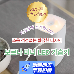 보르나 미니 LED 가습기 무소음 편리한 차량용 조용한 아늑한 조명, 핑크