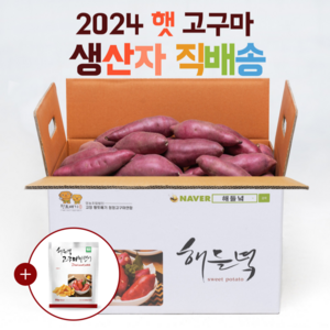 산지직송 해들녘 무농약 고창 꿀 고구마 3kg 5kg 10kg (한입/중/특상/왕), 해들녘고구마 3kg (중 사이즈), 1개