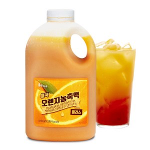 흥국에프앤비 흥국 FnB 오렌지농축액, 1.5L, 1개