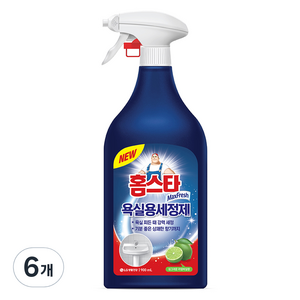 홈스타 욕실청소용 세정제, 900ml, 6개