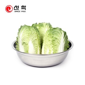 선학 국산 스텐27종_47cm 다라이 빨래솥 김장다라이, 1개