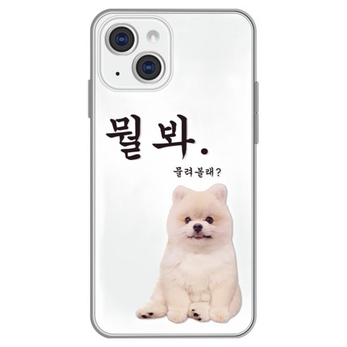 핫티몰 뭘봐 미르 휴대폰 케이스