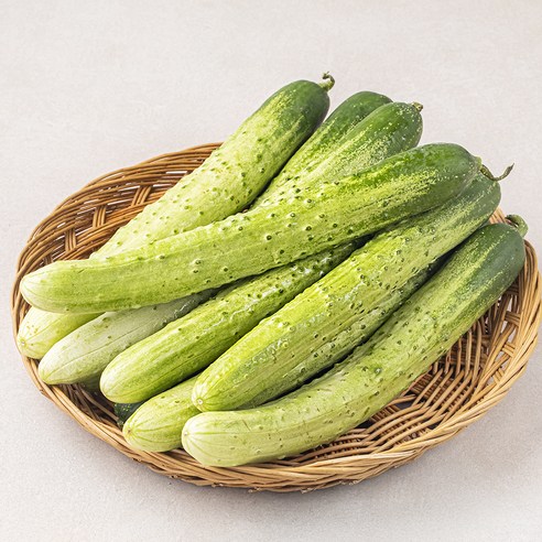 [로켓프레시] 백오이