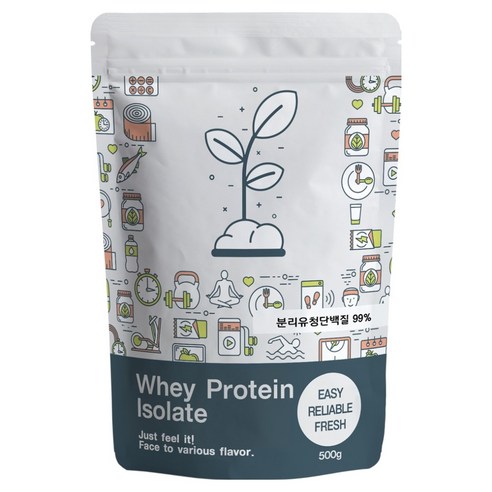 푸른빈 WPI 분리유청단백질 분말 가루, 500g, 1개