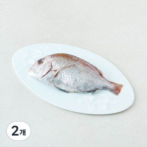 [로켓프레시] 미감어보 국내산 손질 효온처리 통참돔 (냉장), 2개, 300g