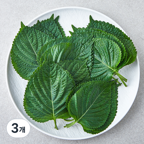 [로켓프레시] 국내산 친환경 깻잎