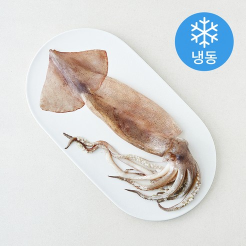 [로켓프레시] 오바다 원양산 통오징어 (냉동)
