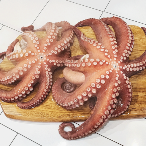 먹부장 통통 돌문어 1kg, 1