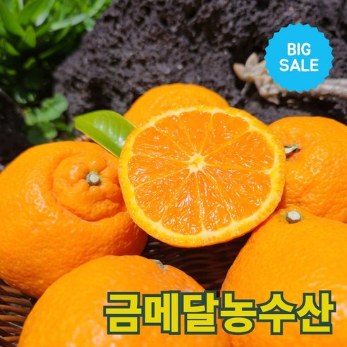 금메달농수산 15브릭스 프리미엄 제주 카라향, 1개, 3kg (중소과)