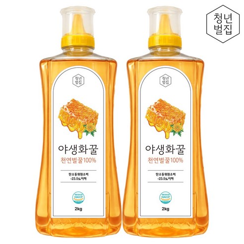 청년벌집 야생화꿀 2kg x 2개 천연벌꿀 자연벌꿀 토종꿀
