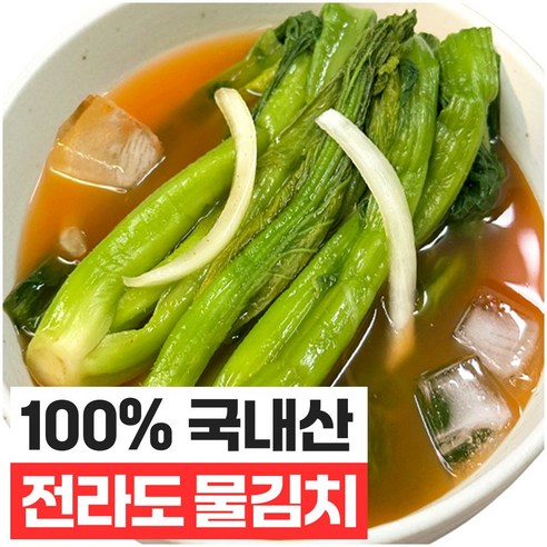 푸드지 여수 돌산 갓물김치