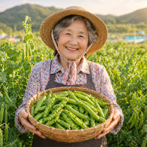 [제철농산] 산지직송 국산 햇 완두콩, 1개, 500g