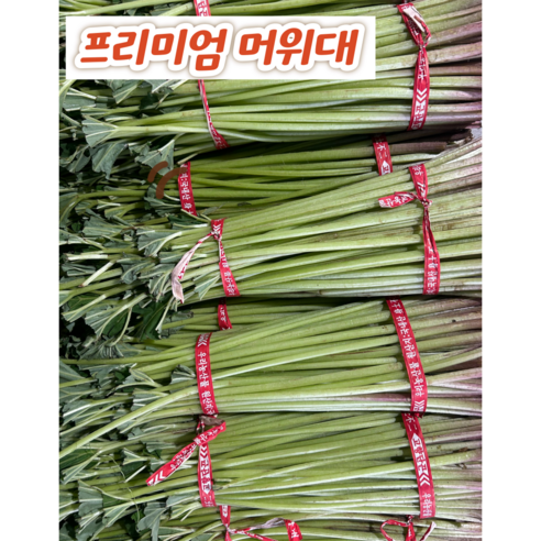 머구대 자연산 노지 머위대 머위 줄기 머웃대 싱싱이네, 1kg, 1박스