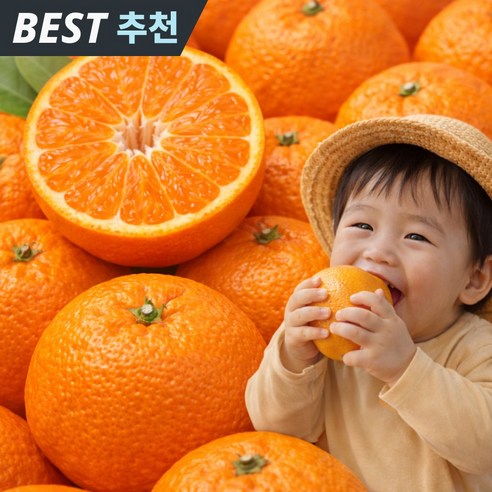 [시즌핫딜] 제주직송 프리미엄 꿀당도 카라향