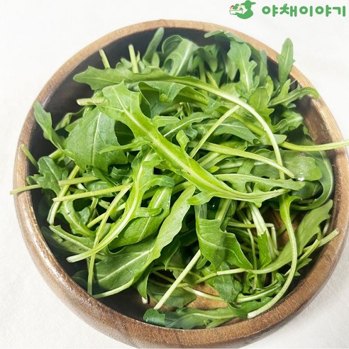 야채이야기 싱싱한 와일드루꼴라 250g, 1봉, 250g