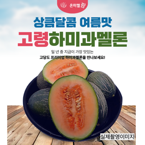 온미엘 고당도 고령 하미과멜론, 1개, 5kg