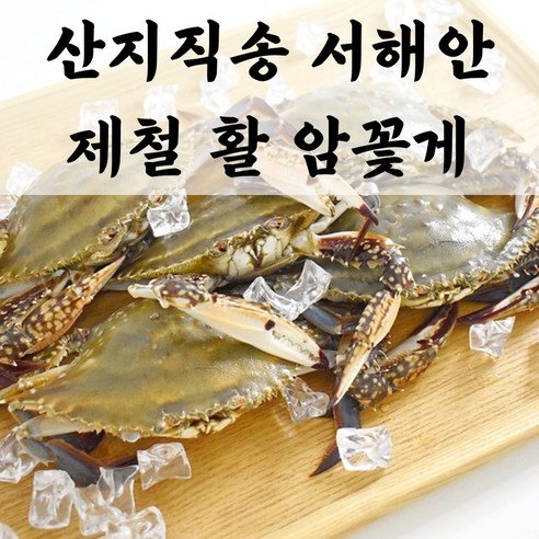 당일조업 당일배송 국내산 서해 활 꽃게