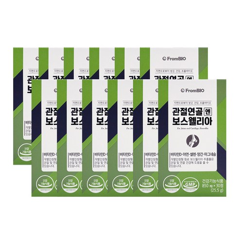 [프롬바이오] 이병헌의 관절 연골엔 보스웰리아+비타민D 아연 망간 셀렌 마그네슘 함유