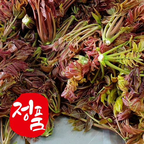 [4월한정] 당일수확 유기농 가죽나물 참죽나무순