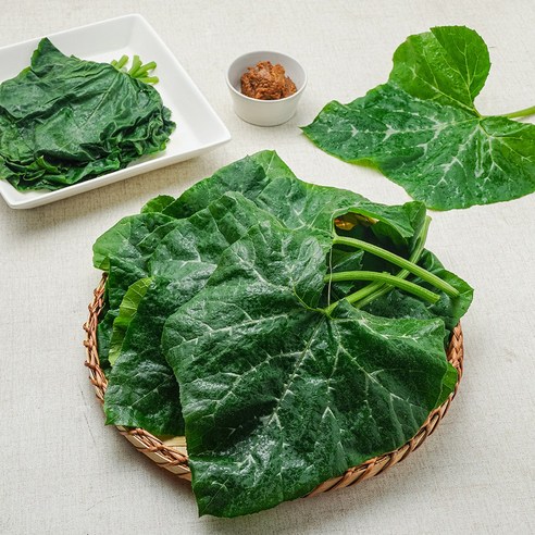 [쑥이네] 부드러운 하우스 어린 호박잎, 500g, 1개