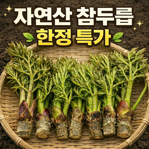 [더밭 한정특가] 자연산 참두릅 산지직송 제철 생두릅 당일수확, 1세트, 1kg