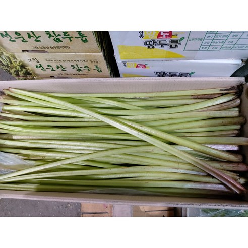 국내산 머위대 4kg