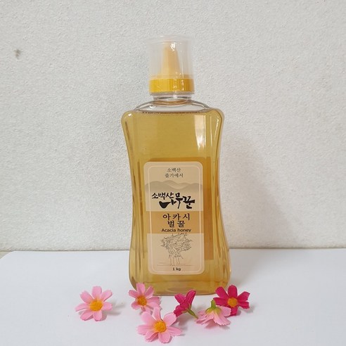 경북 영주 소백산나무꾼벌꿀의 아카시아꿀 500g