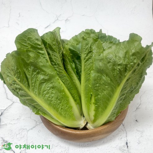 야채이야기 통로메인 로메인하트 300g 로메인상추, 1개, 300g