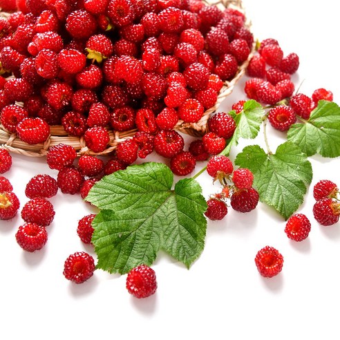 청담농수산 경남 김해 특품 햇 산딸기 생과, 1개, 250g 3팩