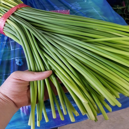 (농장직송) 금메달농수산 국산 정품 마늘쫑, 1개, 1kg 내외