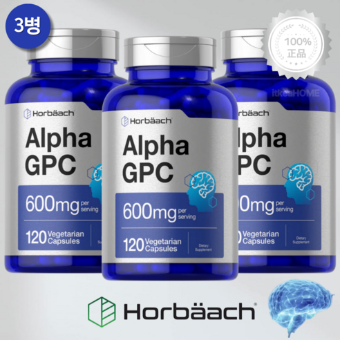 호바흐 콜린알포세레이트 600mg 120베지캡슐 3개