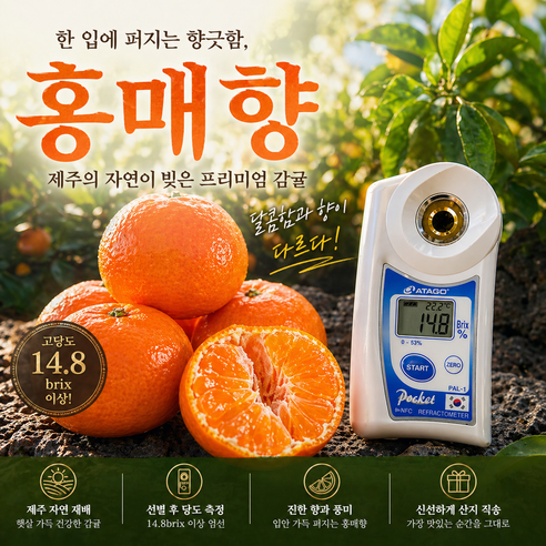 [서귀포 선과장 직송]제주 홍매향 수라향 신비향 설국향 고당도 서귀포 직배송 선과장 운영, 1박스, 홍매향대과2.5k(선물용/8-14과)