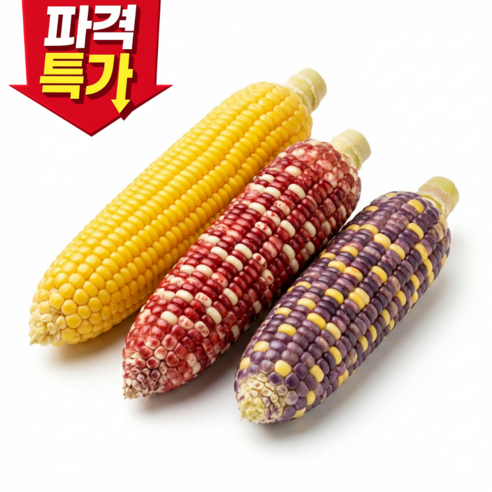 [하루 딱 200개] 쫀득한 찰옥수수 3종 혼합 자연간식 20개