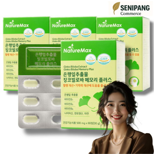 은행잎추출물 징코빌로바 메모리플러스 기억력 혈행개선 60정, 4개