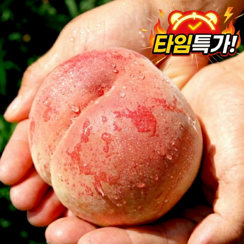 [타임특가] 아삭달콤 하우스 복숭아