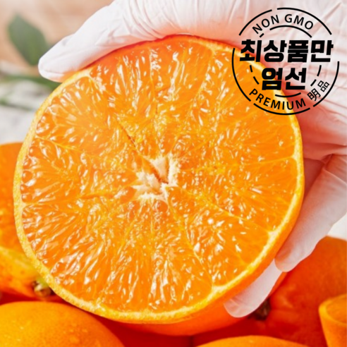 소비자만족1위 제주직송 고당도 명품 천혜향, 1세트, 5kg(14-34과 내외)
