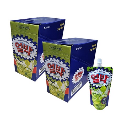 동아제약 얼음과 함께 먹는 박카스 얼박 샤인머스캣맛 210ml 20개 소비기한 26년07월07일F