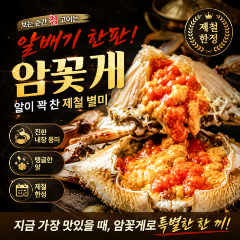 [하루단20박스]제철한정 녹찐한내장 탱글한알 한정수량 암꽃게, 1박스, 3kg(12~18미)