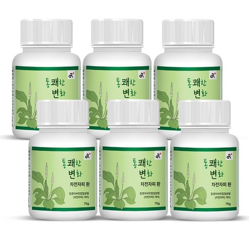 통쾌한 변화 차전자피환