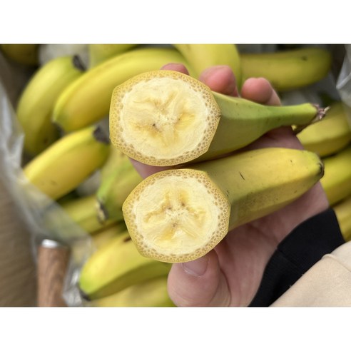 고당도 대용량 실속형 바나나 쥬스용 업소용, 1개, 3kg