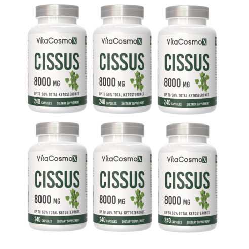 VitaCosmoX 시서스 추출물 Cissus 고함량 고농축 8000mg 케토스테론 50% 시서스 캡슐 시서스 가루 분말
