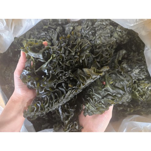 완도 햇 미역귀 국산 저염 반찬용 간식용 미역귀다리 300g 지아수산, 1개, 200g