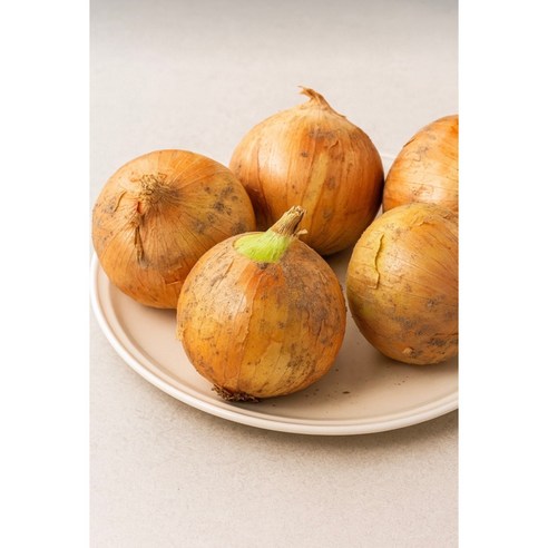 국내산 양파 산지직송 3kg 5kg 10kg, 1개, 5kg 소