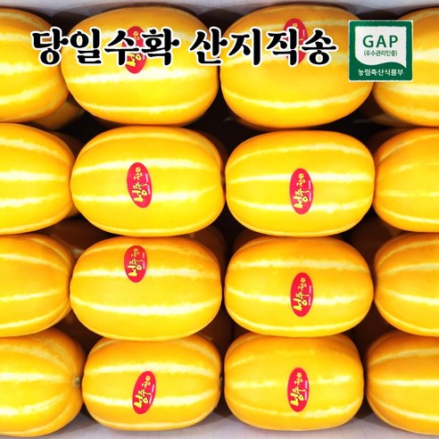[성주산지직송] 참외 당도선별 고당도 성주참외, 1박스, 5kg (혼합)가정용