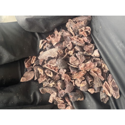 카카오닙스, 500g, 1개