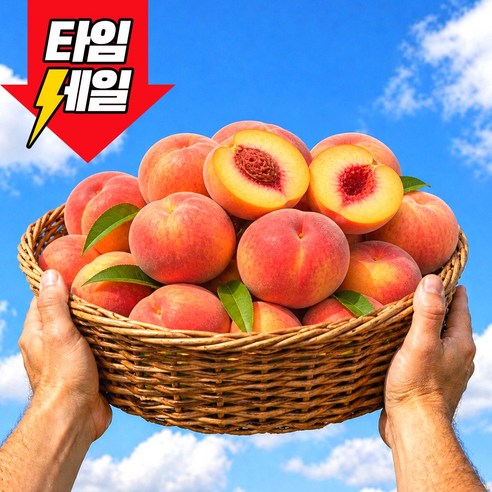 [첫출하초특가]하우스복숭아 하루딱100박스 꿀당도 산지직송