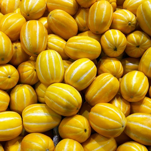 청연당 성주 꿀 참외 꼬마과 달콤한 과일